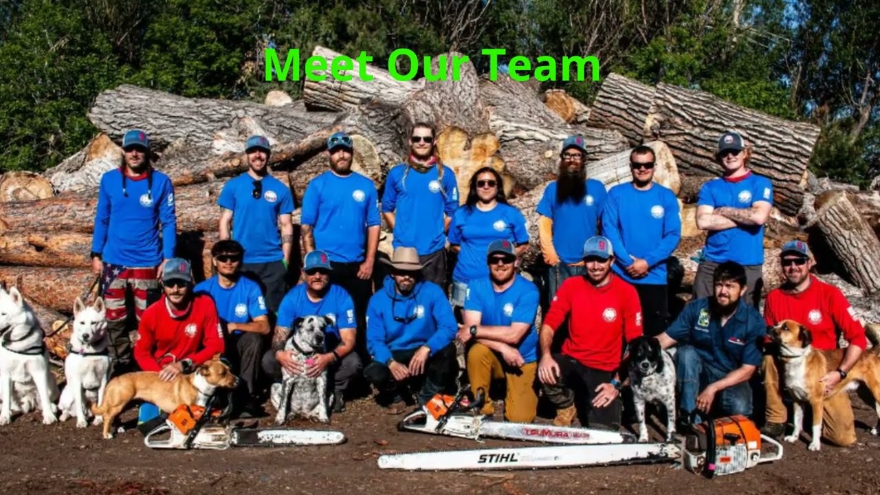 Patriot Tree Company INC. | Tree Removal in Boulder, CO