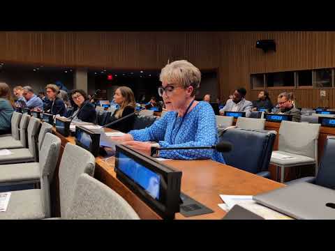 Inclusion Canada CEO speaks at the United Nations