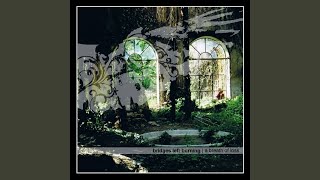 Fullspeed Ahead Down a One-Way-Dead-End Street While Wearing Blinders