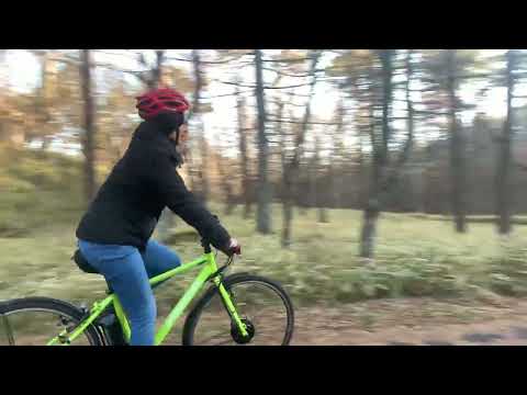 Ebike Tour in Yamanashi Japan