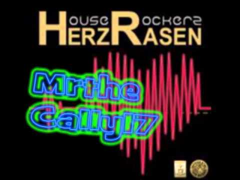 Herzrasen - House Rockerz