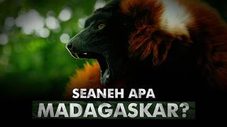 Download lagu Harta Karun Spesies Endemik | Madagaskar mp3