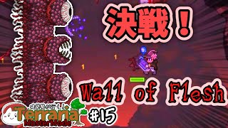 【テラリア】Wall of Fleshとの決戦！果たして結果は!?｜建築勢が行く！Terrariaマスターモード実況！＃15【ゆっくり実況】