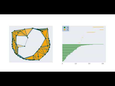 Vietoris Rips complex and Persistence Barcodes