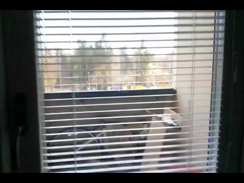 Oikeen hyvää iltaa