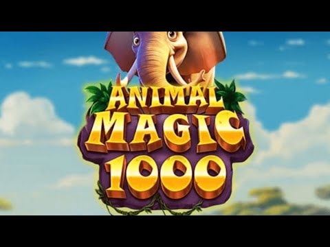 Animal Magic 1000 gameplay video