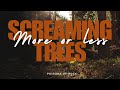 Screaming Trees - More or less (1992) Lyrics Video