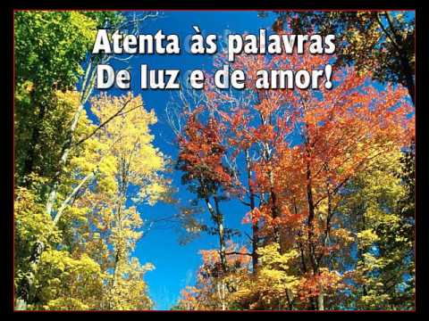 Silêncio   -    Hino  575