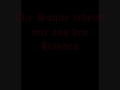 Rammstein - Sonne, with german lyrics 