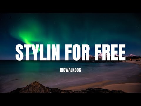 BigWalkDog - Stylin For Free (Lyric video)