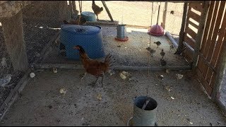 Miniatura do vídeo