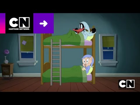PELEA POR LA LITERA  | LOONEY TUNES CARTOONS | CARTOON NETWORK