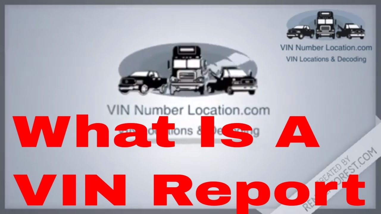 What Is A VIN Report | How To Get A Used Car VIN History Report For Free Or Cheap