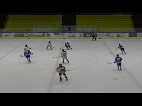 2019.11.30 MU HC Střelci JH - HC Tábor I