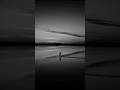 Tom Odell - Another Love | Aesthetic | Slowed | English Songs | Music | Sad | Alone #anotherlove