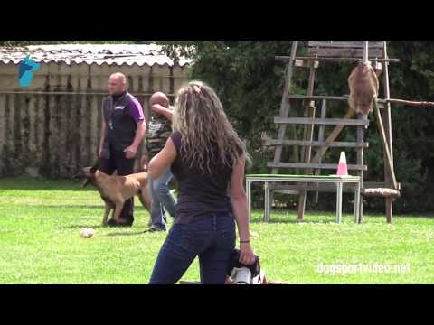 1. DMV Championat - Carsten Heudtlaß - Catos