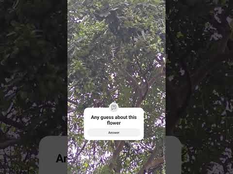 nature#youtuber #shortsfeed #500subcribers #shorts #