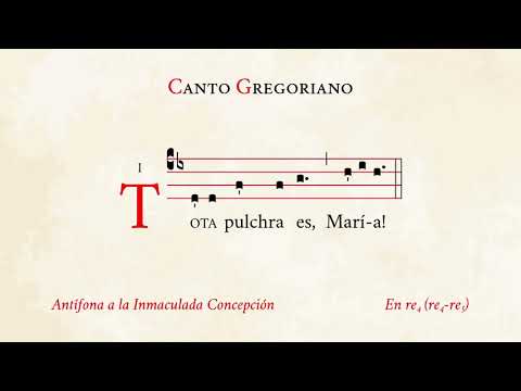 "Tota pulchra es Maria" – Antiphon to the Immaculate Conception – Gregorian Chant