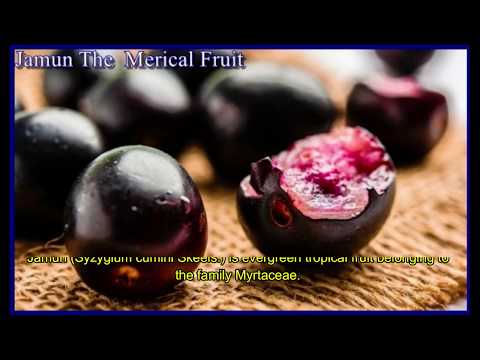download lagu mp3 mp4 List Of Summer Fruits In Pakistan, download lagu List Of Summer Fruits In Pakistan gratis, unduh video klip List Of Summer Fruits In Pakistan