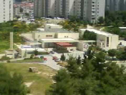 TORCIDA PUJANKE 1950