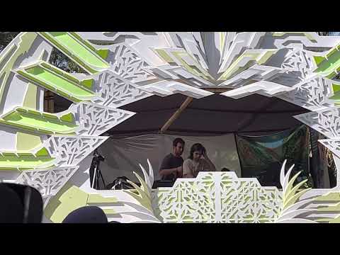 Logic UFO Live Mutaciones Resina Night