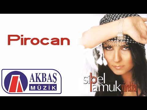 Video Yükleniyor...