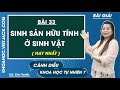 Khoa học tự nhiên 7 Cánh diều Bài 33: Sinh sản hữu tính ở sinh vật - Trang 151, 155