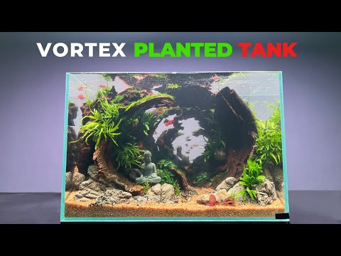 Making Vortex Planted Tank For Fish, What Happens (Aquascape Tutorial) Part 2