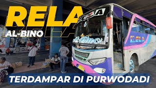 Download lagu NAIK RELA DI JADWAL INI HARUS RELA JUGA TERDAMPAR DI PURWODADI ! | PO RELA AL-BINO | SOLO-PURWODADI mp3 Download lagu NAIK RELA DI JADWAL INI HARUS RELA JUGA TERDAMPAR DI PURWODADI ! | PO RELA AL-BINO | SOLO-PURWODADI mp3