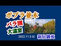 【ポプラ並木・バラ園・温室】②新宿御苑〜 しげちゃんの今日も絶好調