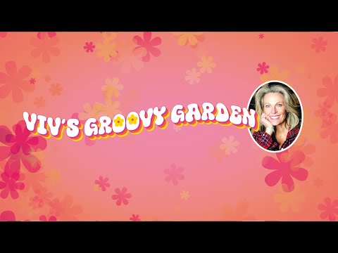 Viv's Groovy Garden:  Talking Pollinators with Tom & Kelly