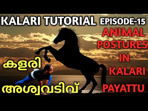 KALARI TUTORIAL EPISODE 15 | ANIMAL POSTURES IN KALARI PAYATTU | അശ്വവടിവ് | #kalariguru