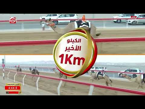 ش 2 (مليح) لـ البادي راشد بن سالم النعيمي 6:14:38 ، مهرجان العين 2026/08/06 إيذاع الروضة
