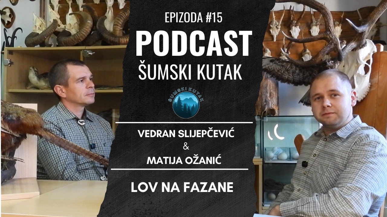 Podcast Šumski kutak---- Lov na Fazane (Vedran Slijepčević)