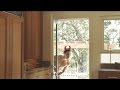 Stag Condoms Back Door 1080p HD