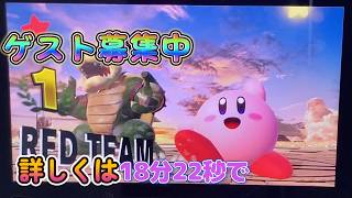 スマブラゲストとやるぜー