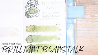 Ferris Wheel Press | Brilliant Beanstalk | Ink Diary #2