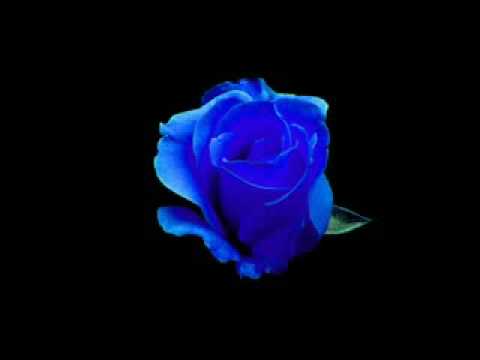 download lagu mp3 mp4 Jerry Rivera Nia, download lagu Jerry Rivera Nia gratis, unduh video klip Jerry Rivera Nia