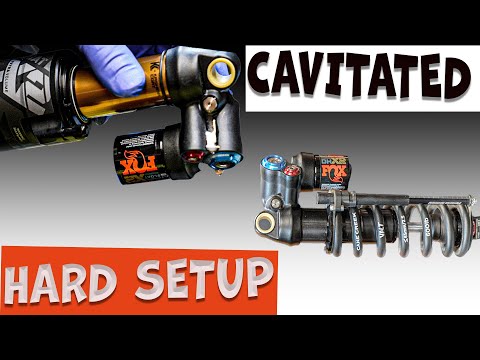 Fox X2 Family DRAMA STORY