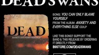 You Can Only Blame Yourself by Dead Swans.mov