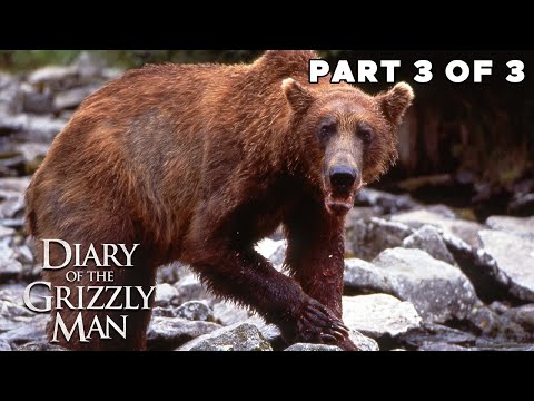 Diary Of The Grizzly Man | Ep 03 | The Fall | FULL EPISODE | Timothy Treadwell Biography Documentary