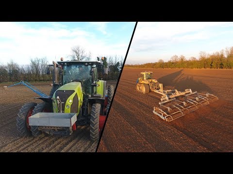CAT Challenger Pulling Down And Claas Arion Drilling Sugar Beet