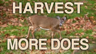 Watch Video - Harvest More Does