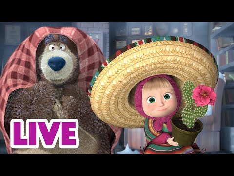 🔴 LIVE! 瑪莎與熊 - 🧭 從北到南 🗺️ | Masha and The Bear