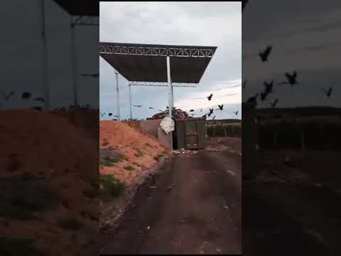 Sooretama: moradora denuncia lixão a céu aberto