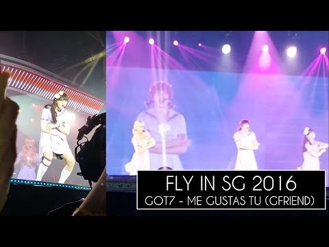 160624 GOT7 #FLYinSG - ME GUSTAS TU (GFRIEND)