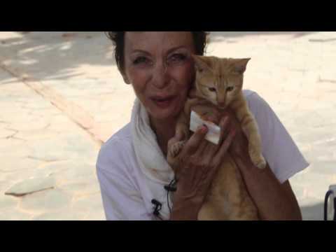 Green Leaf Boutique Hotel - Josette - Siem Reap's Pagoda Cat Lady