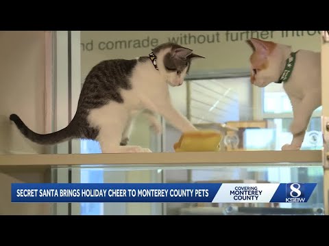 Secret Santa program brings holiday cheer to SPCA Monterey County pets - YouTube