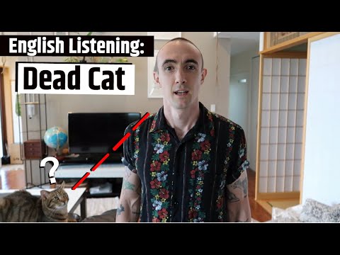 English Listening: Dead Cat