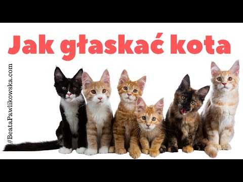 Środki budżetowe na wypadanie włosów Witamina E do farbowania włosów
